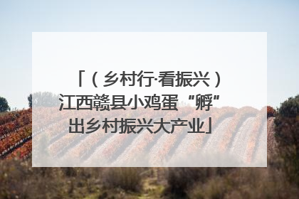 （乡村行·看振兴）江西赣县小鸡蛋“孵”出乡村振兴大产业