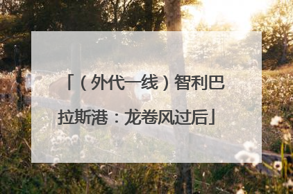 （外代一线）智利巴拉斯港：龙卷风过后