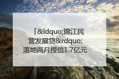 “锦江民营发展贷”落地两月授信1.7亿元，惠及118家民企