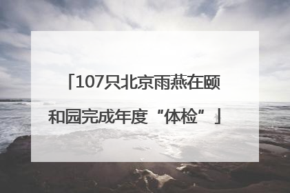 107只北京雨燕在颐和园完成年度“体检”
