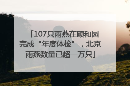 107只雨燕在颐和园完成“年度体检”，北京雨燕数量已超一万只