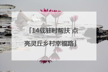 14载驻村帮扶 点亮灵丘乡村幸福路