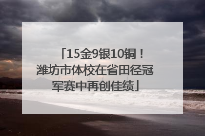 15金9银10铜！潍坊市体校在省田径冠军赛中再创佳绩
