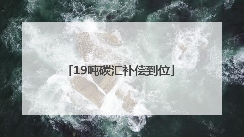 19吨碳汇补偿到位