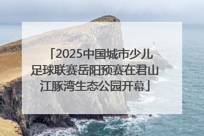 2025中国城市少儿足球联赛岳阳预赛在君山江豚湾生态公园开幕