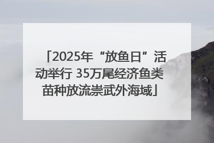 2025年“放鱼日”活动举行 35万尾经济鱼类苗种放流崇武外海域