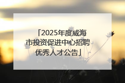 2025年度威海市投资促进中心招聘优秀人才公告