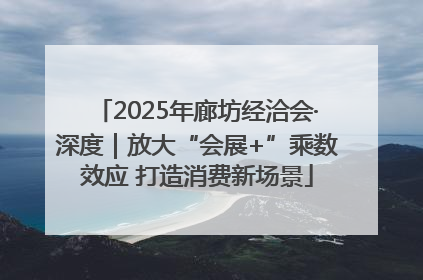 2025年廊坊经洽会·深度｜放大“会展+”乘数效应 打造消费新场景