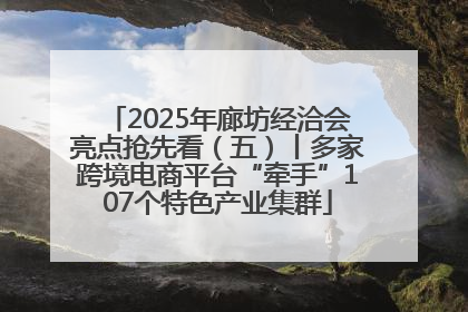 2025年廊坊经洽会亮点抢先看（五）丨多家跨境电商平台“牵手”107个特色产业集群