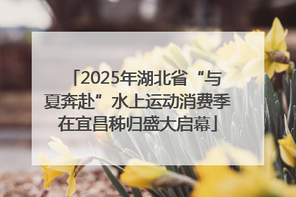 2025年湖北省“与夏奔赴”水上运动消费季在宜昌秭归盛大启幕