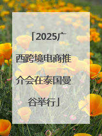 2025广西跨境电商推介会在泰国曼谷举行