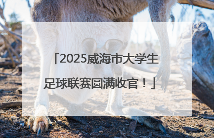 2025威海市大学生足球联赛圆满收官！