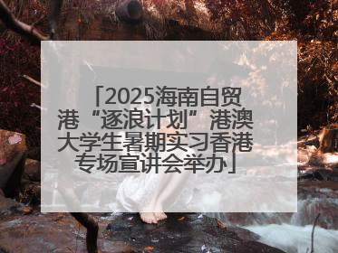 2025海南自贸港“逐浪计划”港澳大学生暑期实习香港专场宣讲会举办