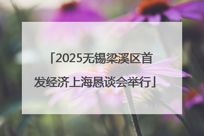 2025无锡梁溪区首发经济上海恳谈会举行