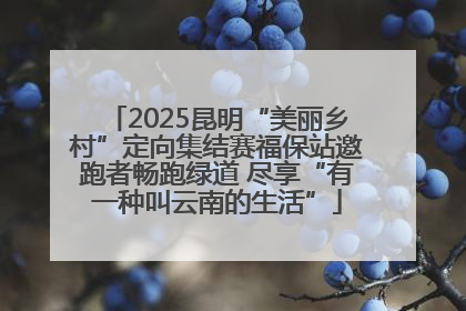 2025昆明“美丽乡村”定向集结赛福保站邀跑者畅跑绿道 尽享“有一种叫云南的生活”