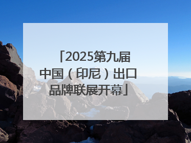 2025第九届中国（印尼）出口品牌联展开幕