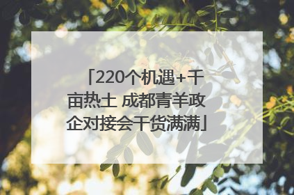 220个机遇+千亩热土 成都青羊政企对接会干货满满