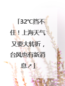 32℃挡不住！上海天气又要大转折，台风也有新消息↗