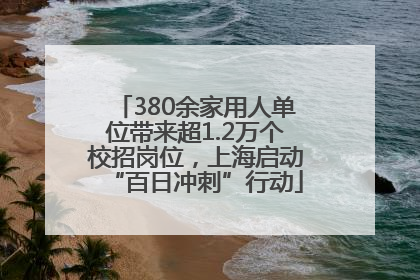 380余家用人单位带来超1.2万个校招岗位，上海启动“百日冲刺”行动