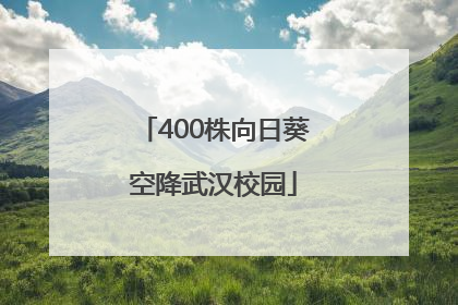 400株向日葵空降武汉校园