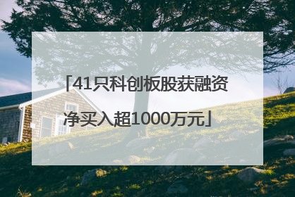 41只科创板股获融资净买入超1000万元