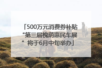 500万元消费券补贴 “第三届槐荫惠民车展”将于6月中旬举办