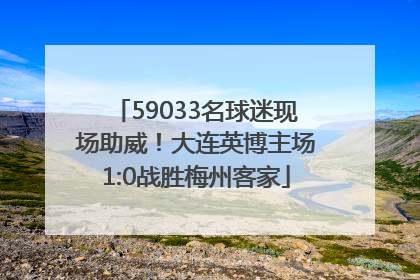 59033名球迷现场助威！大连英博主场1:0战胜梅州客家