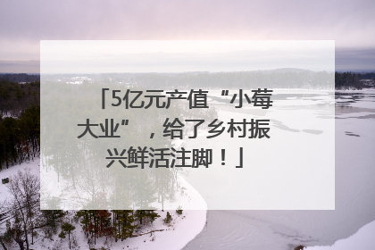5亿元产值“小莓大业”，给了乡村振兴鲜活注脚！