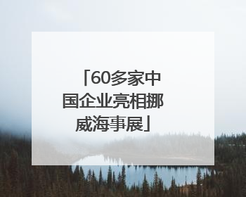 60多家中国企业亮相挪威海事展