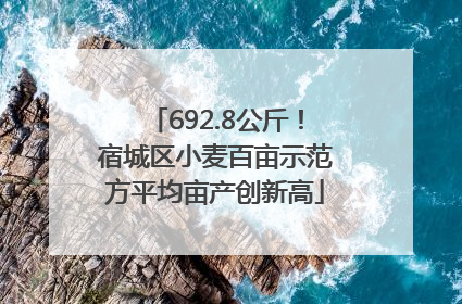 692.8公斤！宿城区小麦百亩示范方平均亩产创新高