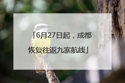 6月27日起，成都恢复往返九寨航线