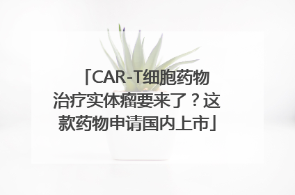 CAR-T细胞药物治疗实体瘤要来了？这款药物申请国内上市