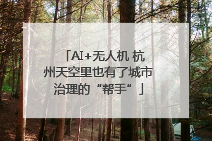 AI+无人机 杭州天空里也有了城市治理的“帮手”