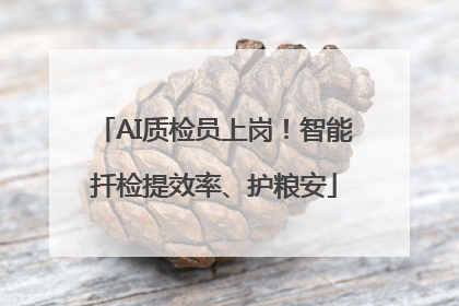 AI质检员上岗！智能扦检提效率、护粮安